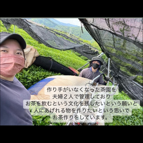 新茶・無農薬お茶＊伝統とこだわりの味！苦くない緑茶♪ 深蒸し