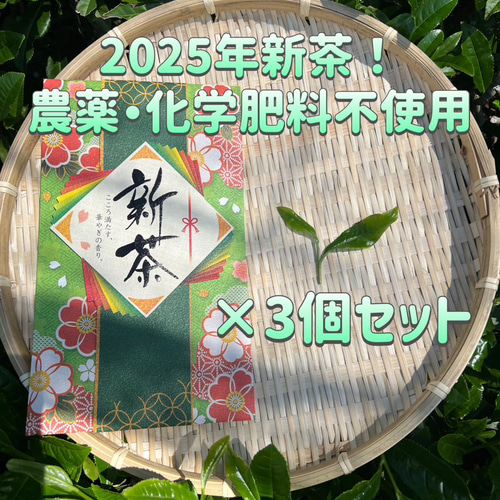 無農薬】【新茶】伝統とこだわりの味！深蒸しかぶせ茶ティーバッグ3g