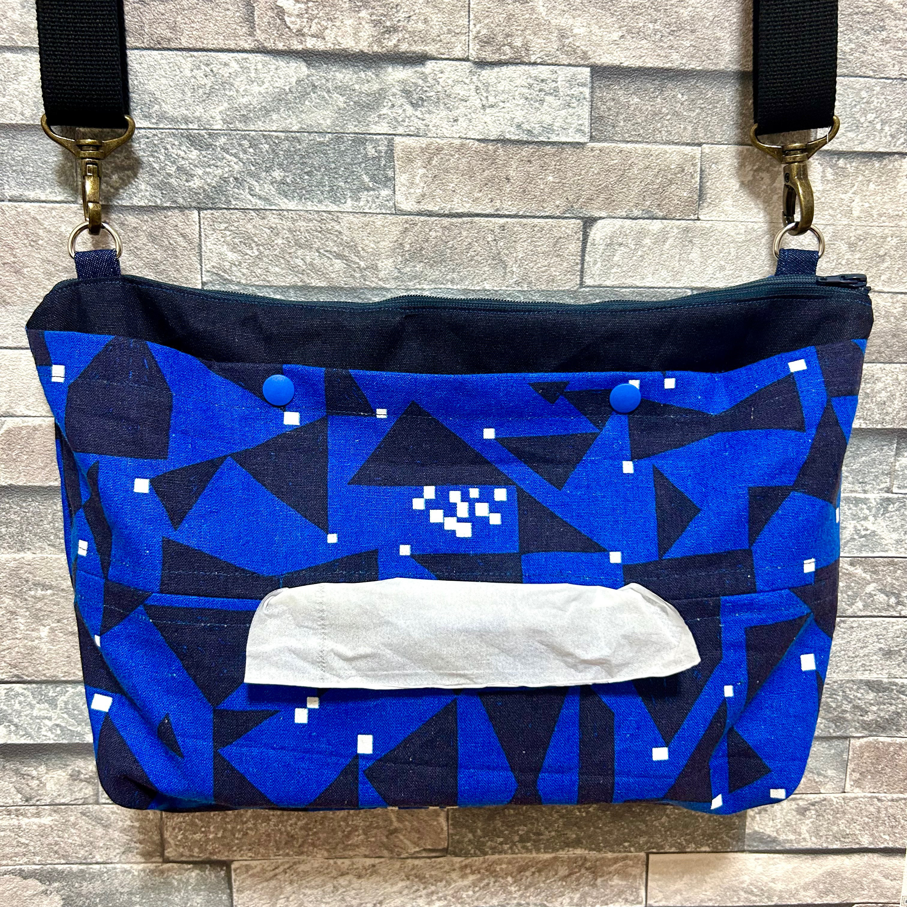 【ハンドメイド】エチノ　キャンバス　ショルダーバッグ たんきち 78】2ヵ所ファスナー／8cmマチ／保育士／箱ティッシュ ショルダー