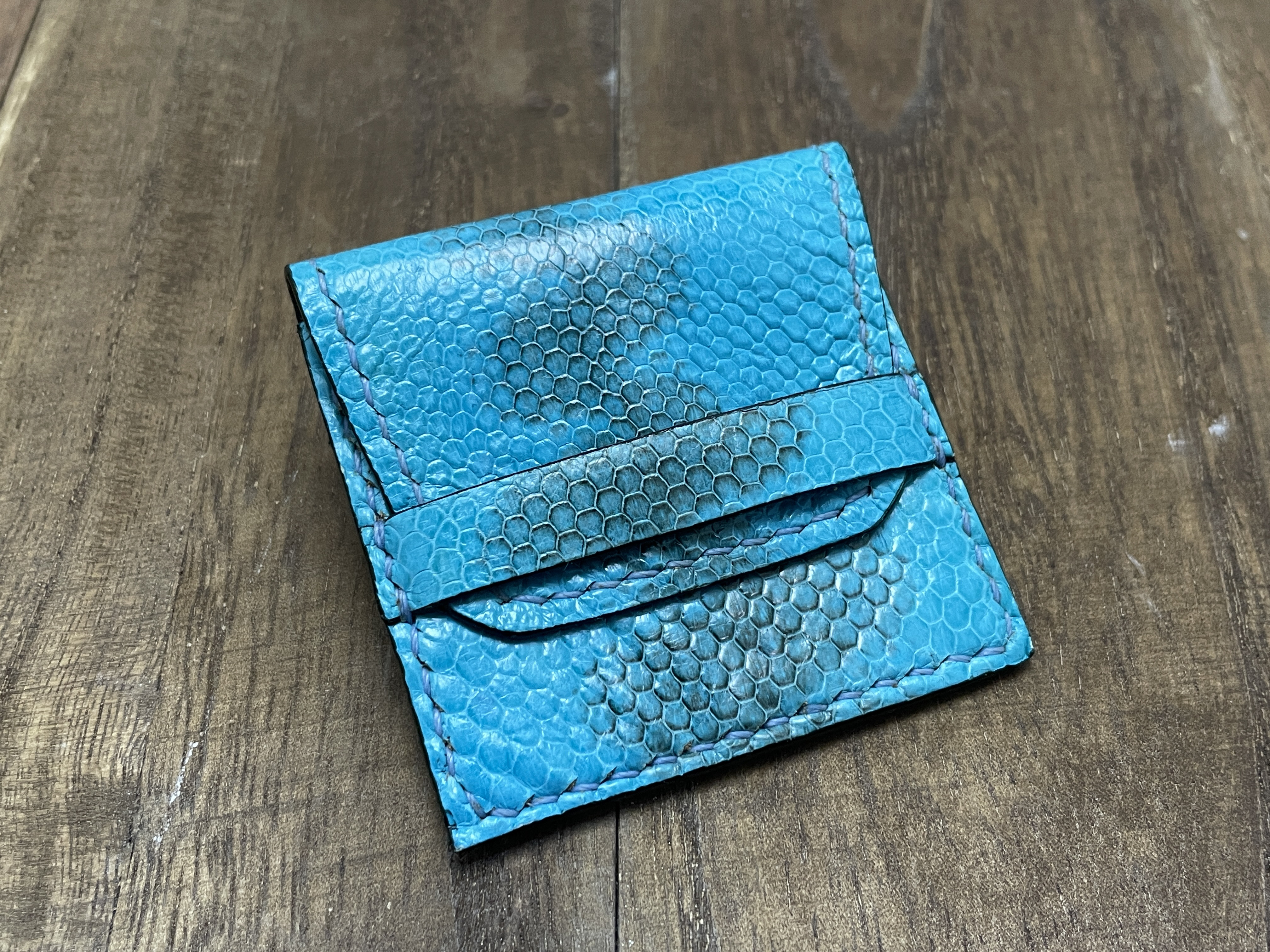 ウミヘビのポケット型コンドームケース