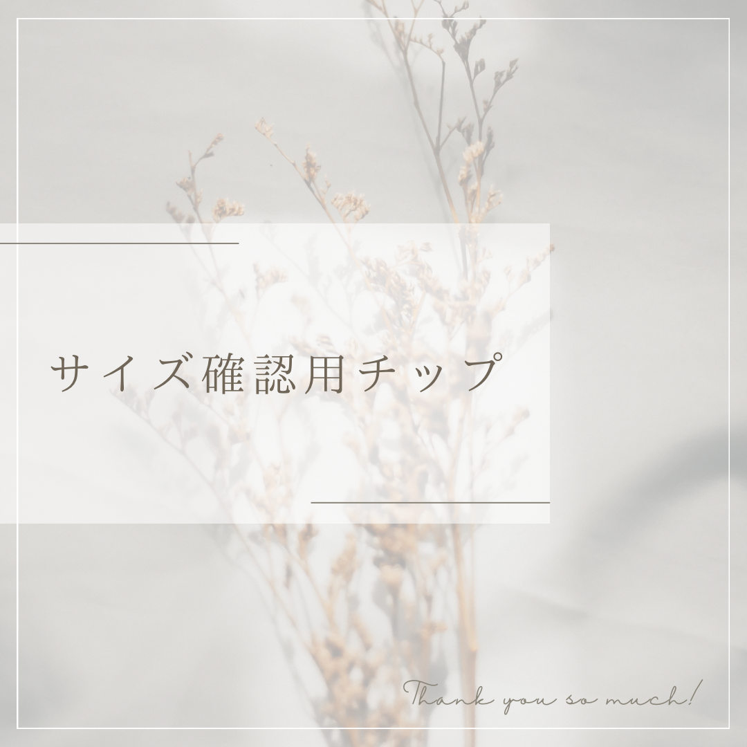 サイズ確認用ネイルチップ（送料無料） 59,999円