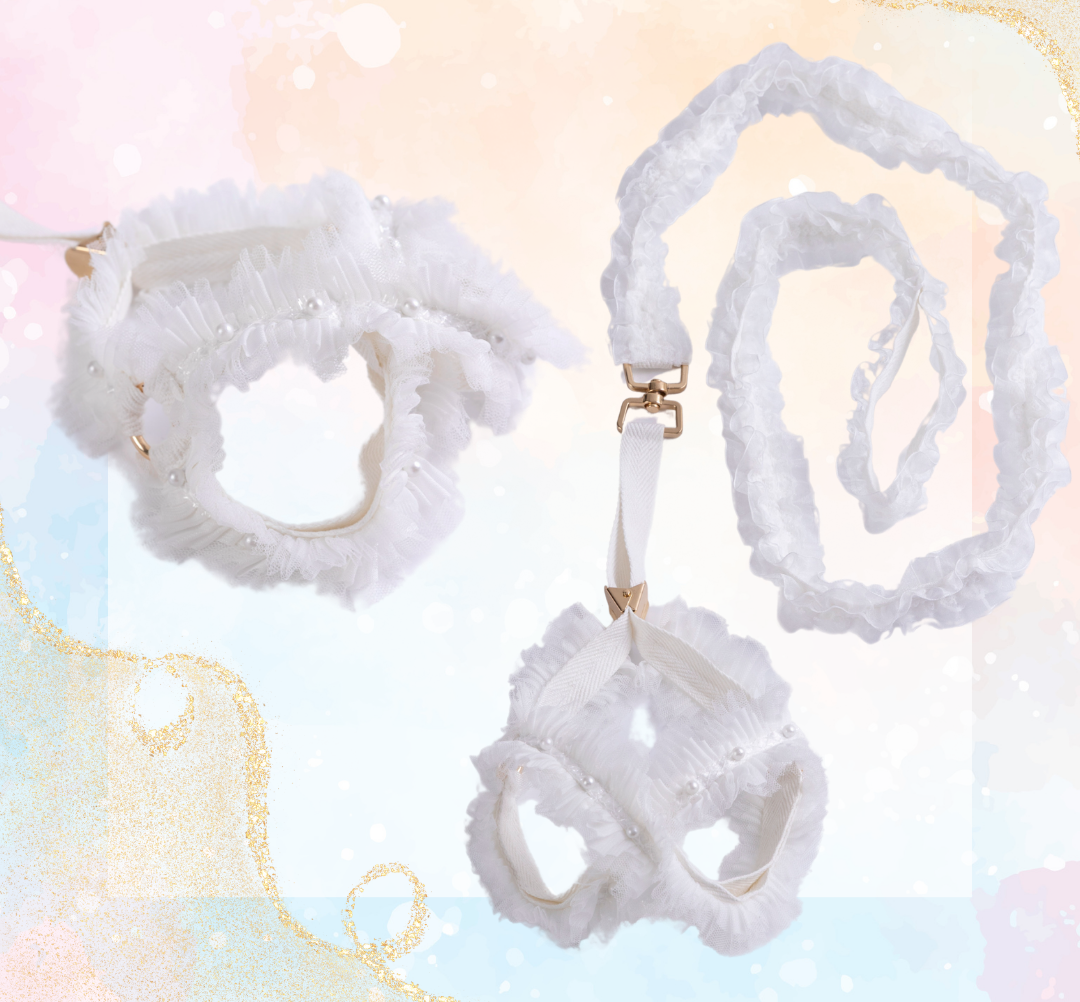 ハーネスリード [ 犬用 ] [ 小型犬ハーネス ] [ 気管虚脱対応 ]