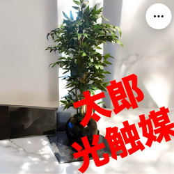 光触媒 人工観葉植物 ウォールグリーン フェイクグリーン