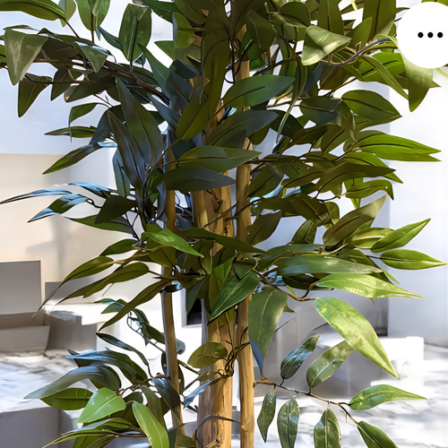 光触媒　人工観葉植物　フェイクグリーン　イタリアンベンジャミン12360 image_1.jpg