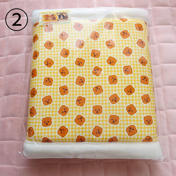 モルモットンネル✨パンケーキ 4枚目の画像