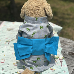 【受注製作】ワンちゃんの浴衣　カエル柄ブルー 1枚目の画像