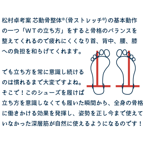 ウォーキングシューズ | 本革 日本製 男女兼用 健康 靴 WTシューズ 520001 15枚目の画像
