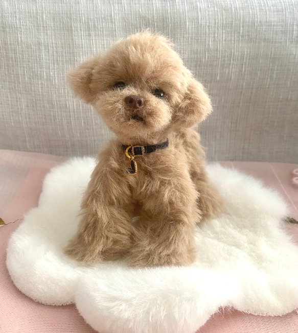 手のひらサイズのふわふわテディベアトイプーちゃん 羊毛