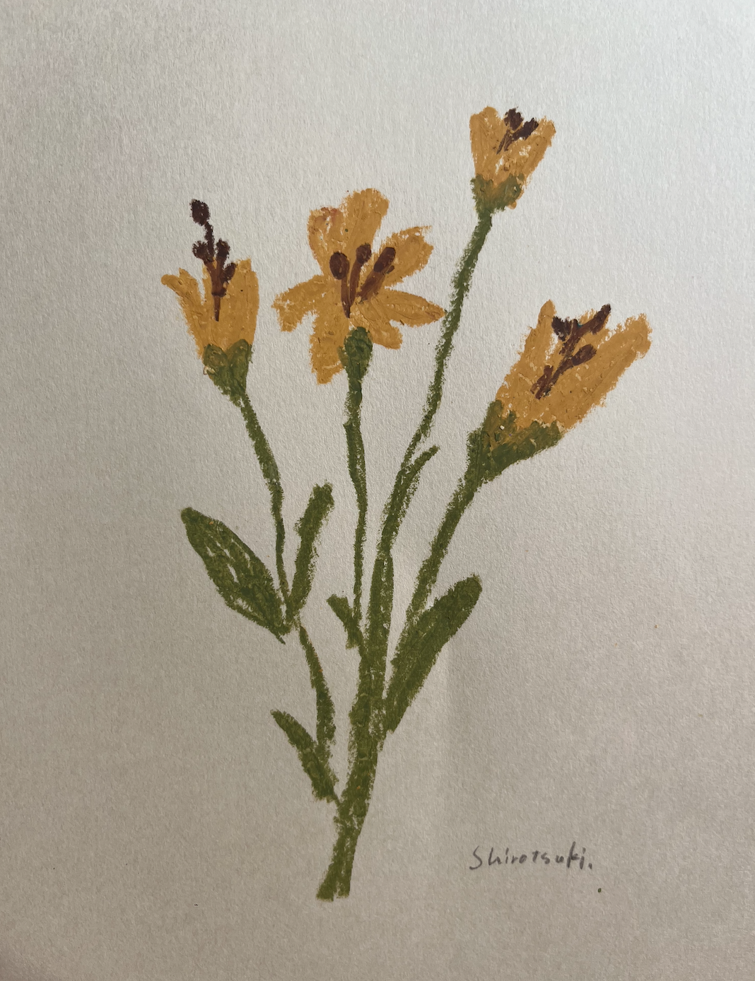 手描きイラスト 原画 白 創作 オリジナル 花 女の子 黄色 B5 アンドロイド