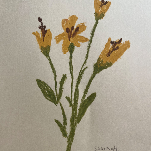 原画】花の絵ー深みのある黄色のお花 絵画 crystal empty 通販