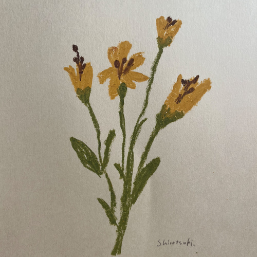 原画】花の絵ー深みのある黄色のお花 絵画 crystal empty 通販