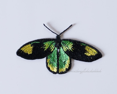 ビクトリアトリバネアゲハ ワッペン・アップリケ Embroidery福工房