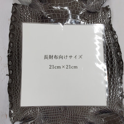ワニ革  グレージング(艶)  ストーングレー  No.C008416 8枚目の画像