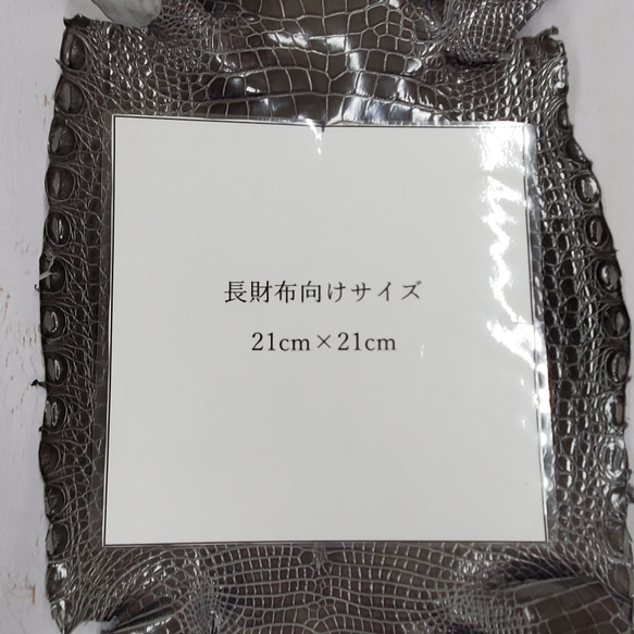 ワニ革  グレージング(艶)  ストーングレー  No.C008416 8枚目の画像