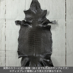 ワニ革  グレージング(艶)  ストーングレー  No.C008416 2枚目の画像