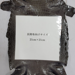 ワニ革  グレージング(艶)  ストーングレー  No.C008417 8枚目の画像