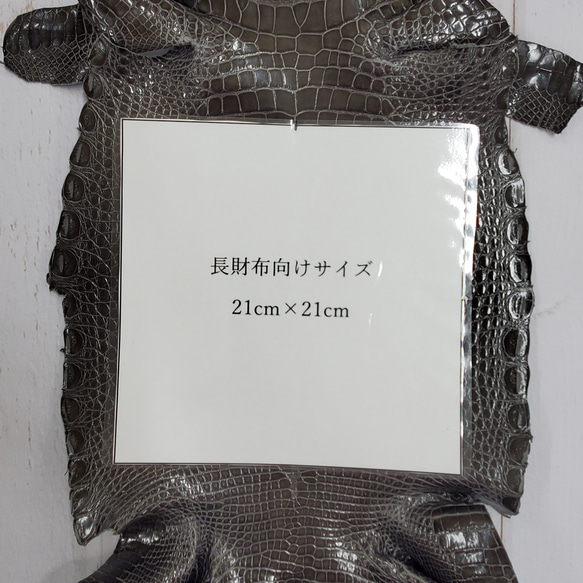 ワニ革  グレージング(艶)  ストーングレー  No.C008417 8枚目の画像