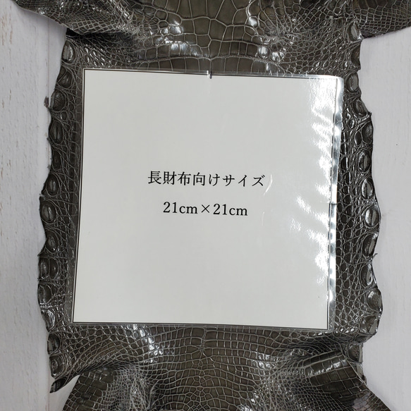 ワニ革  グレージング(艶)  ストーングレー  No.C008418 8枚目の画像