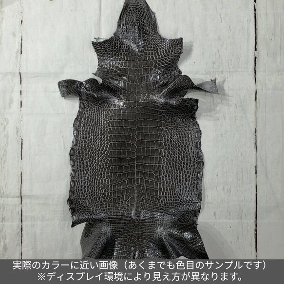ワニ革  グレージング(艶)  ストーングレー  No.C008419 2枚目の画像