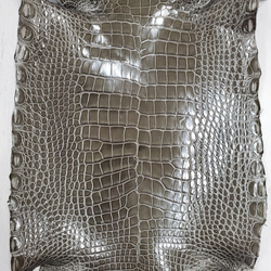 ワニ革  グレージング(艶)  ストーングレー  No.C008419 4枚目の画像