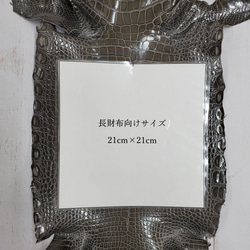 ワニ革  グレージング(艶)  ストーングレー  No.C008419 8枚目の画像