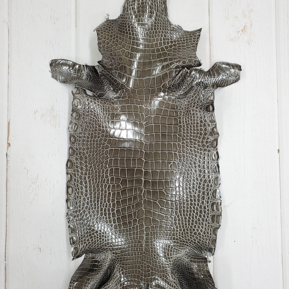 ワニ革  グレージング(艶)  ストーングレー  No.C008419 1枚目の画像