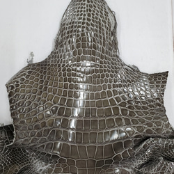 ワニ革  グレージング(艶)  ストーングレー  No.C008419 3枚目の画像