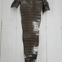 ワニ革  グレージング(艶)  ストーングレー  No.C008419 5枚目の画像