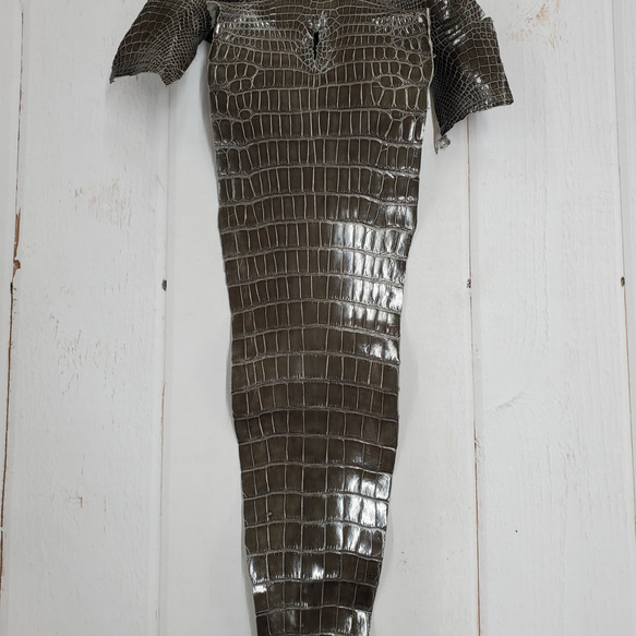 ワニ革  グレージング(艶)  ストーングレー  No.C008419 5枚目の画像