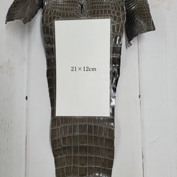 ワニ革  グレージング(艶)  ストーングレー  No.C008419 9枚目の画像