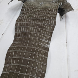 ワニ革  グレージング(艶)  ストーングレー  No.C008419 14枚目の画像