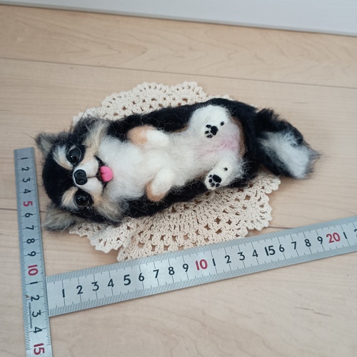羊毛フェルト 犬 チワワ 可愛いヘソ天チワワ♡ その他素材 リラシナ