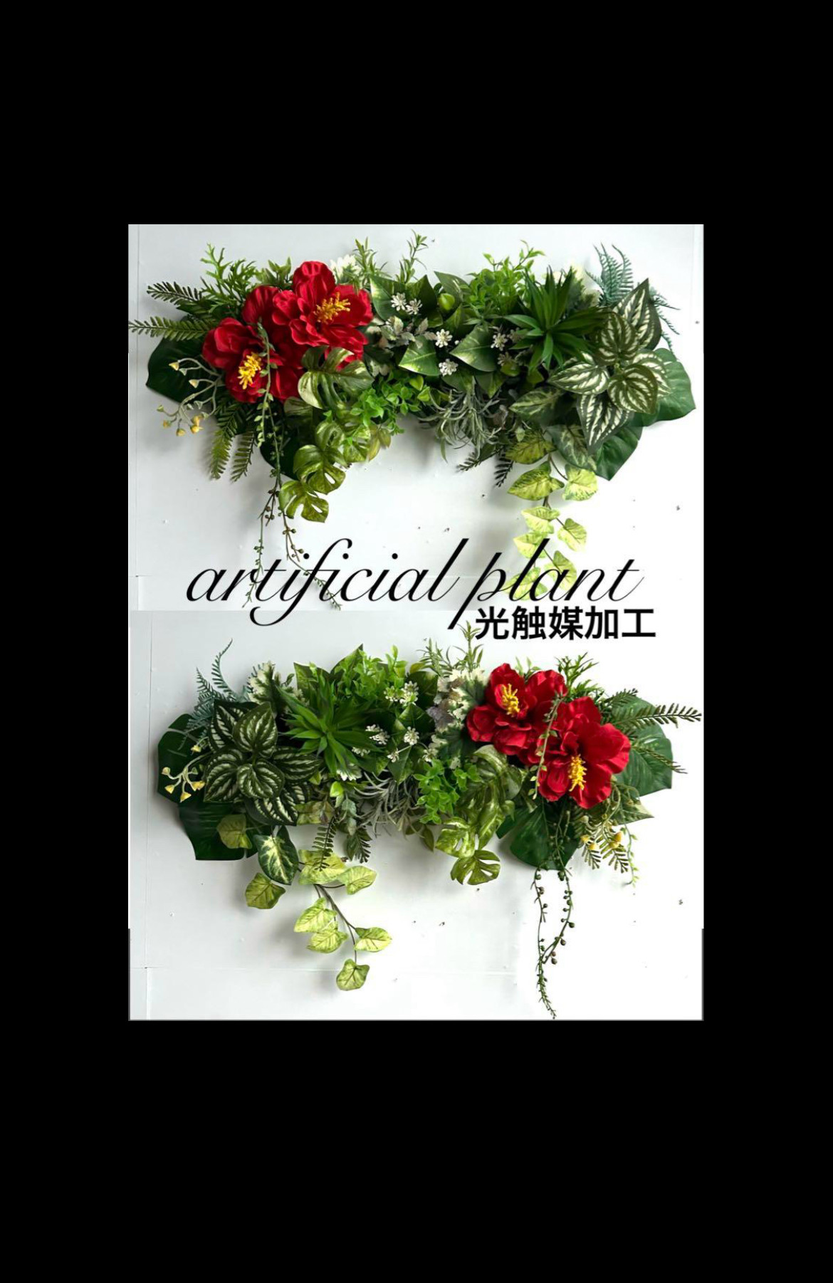 光触媒加工 抗菌消臭ウォールグリーン board NO.33.34 多肉植物
