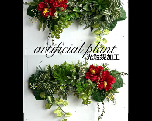 光触媒加工 抗菌消臭ウォールグリーン board NO.33.34 多肉植物