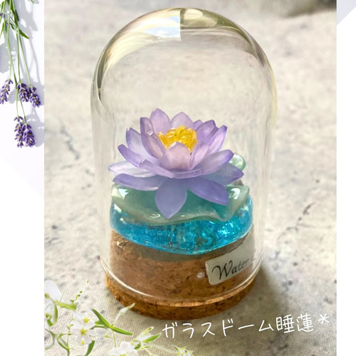 ガラスドーム: 睡蓮 テラリウム 癒し インテリア 花雑貨 花小物 置物