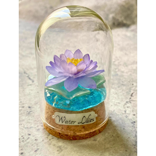 ガラスドーム: 睡蓮 テラリウム 癒し インテリア 花雑貨 花小物 置物