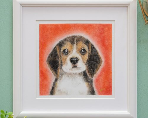 原画】「ビーグル」 パステルアート 犬 癒し ペットかわいい動物