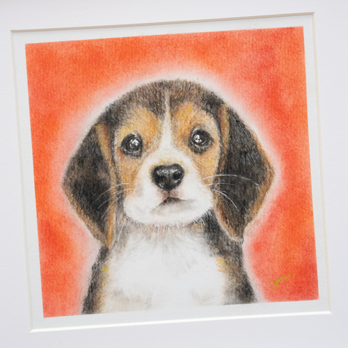 原画】「ビーグル」 パステルアート 犬 癒し ペットかわいい動物