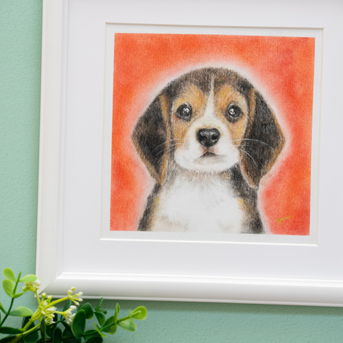 原画】「ビーグル」 パステルアート 犬 癒し ペットかわいい動物