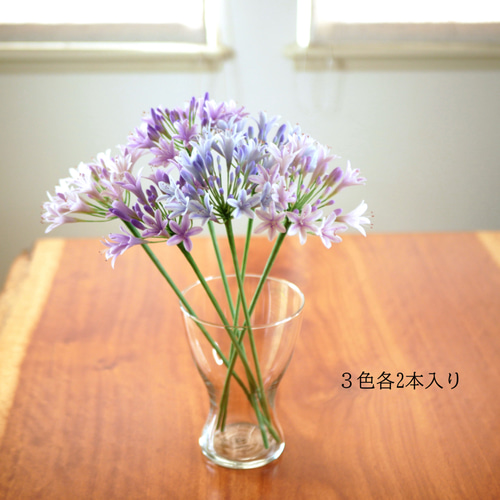 アガパンサス クレイフラワー 長い ピンクラベンダー 1本 Géant