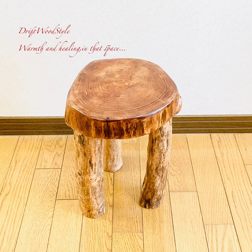 HOME EXONOMICS EXPERIMENT メタルパイプスツール 椅子