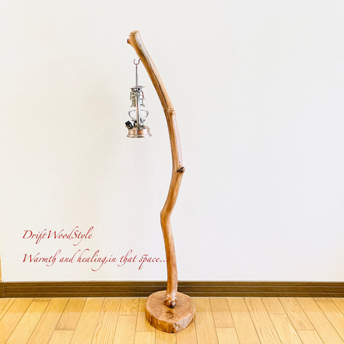 流木インテリア 美しくうねる枝の流木スタンド ランタンやエアプラント