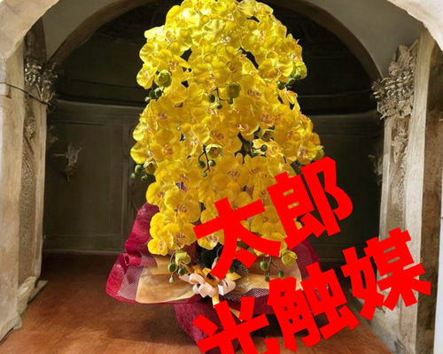 光触媒　人工観葉植物　ウォールグリーン　フェイクグリーン　胡蝶蘭黄色112 光触媒 人工観葉植物 ウォールグリーン フェイクグリーン 胡蝶蘭