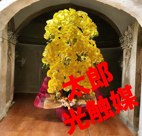 光触媒　人工観葉植物　ウォールグリーン　フェイクグリーン　胡蝶蘭黄色112 光触媒 人工観葉植物 ウォールグリーン フェイクグリーン 胡蝶蘭