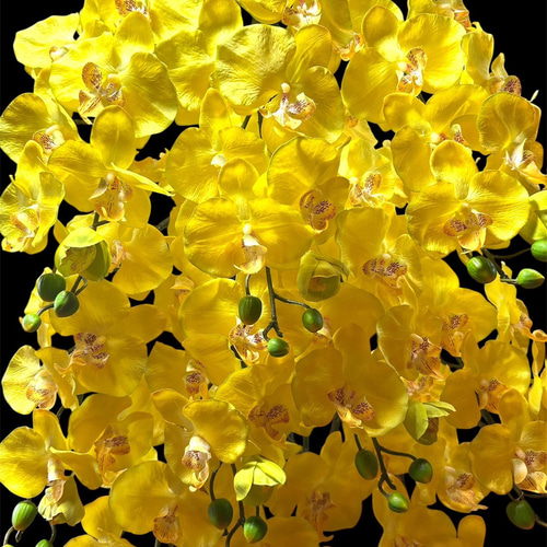 光触媒 人工観葉植物 ウォールグリーン フェイクグリーン 胡蝶蘭