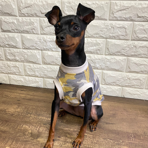 ミニチュアピンシャー/ミニピン コットンリネンタンクトップ ペット服