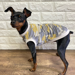 b580627d38fe52cfecbcca31e8b4bb