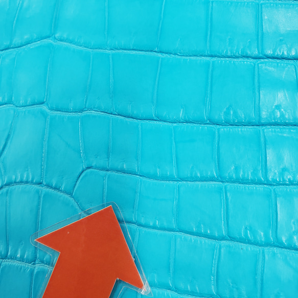 ワニ革 クロコ 半艶マット  セルリアンブルー　No.C008555 13枚目の画像