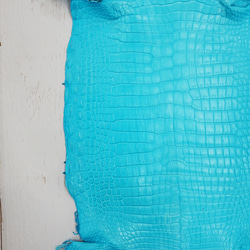 ワニ革 クロコ 半艶マット  セルリアンブルー　No.C008555 15枚目の画像