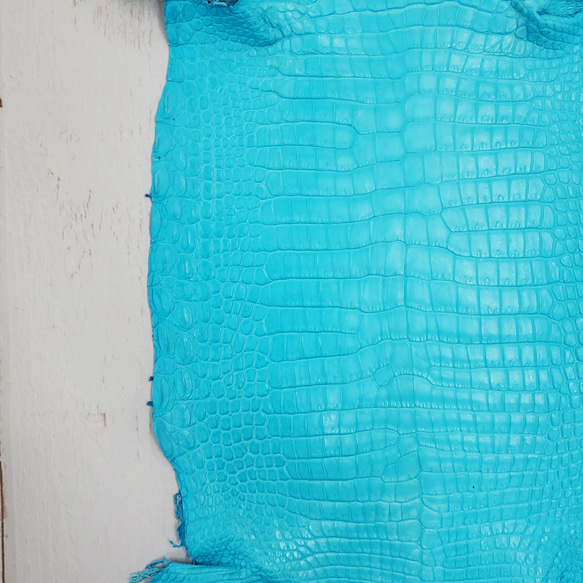 ワニ革 クロコ 半艶マット  セルリアンブルー　No.C008555 15枚目の画像